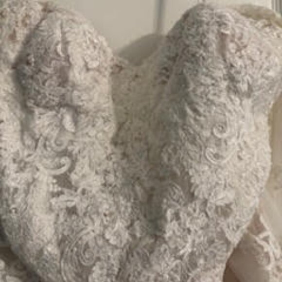 David's Bridal Collection Wedding Dress with Train - Picture 3 of 9